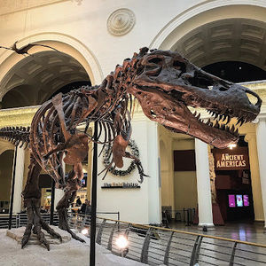 Meet your Posher, De